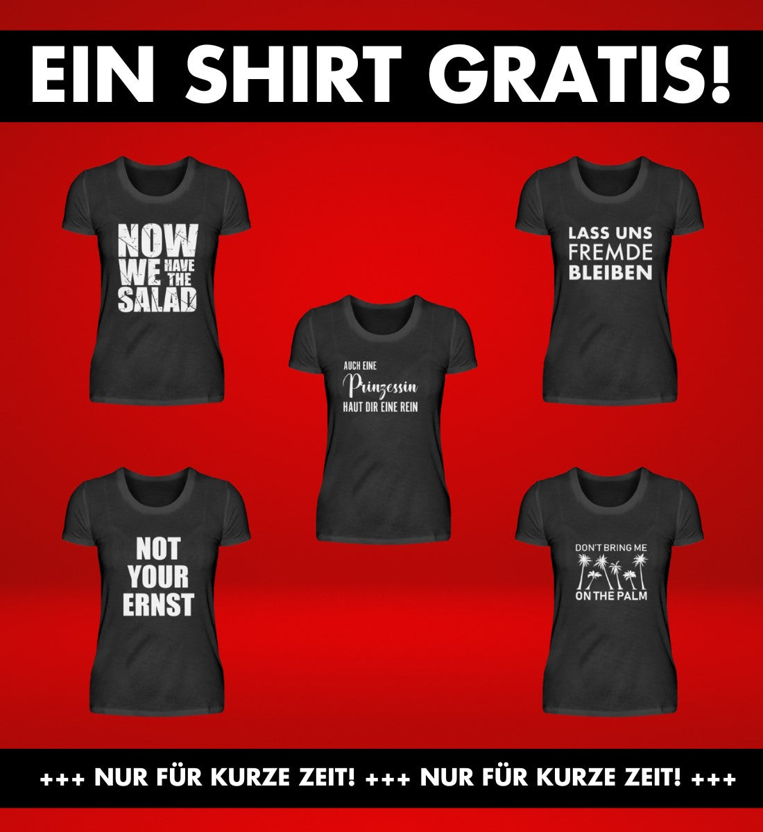 DAMEN T-SHIRT BESTSELLER MEGA BUNDLE
