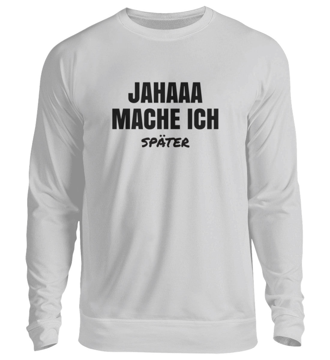 SPÄTER - SWEATSHIRT - Dufte Kluft