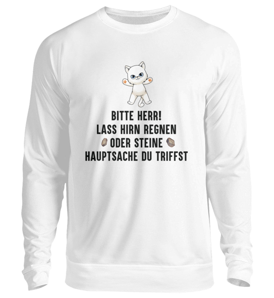 LASS HIRN REGNEN - SWEATSHIRT - Dufte Kluft