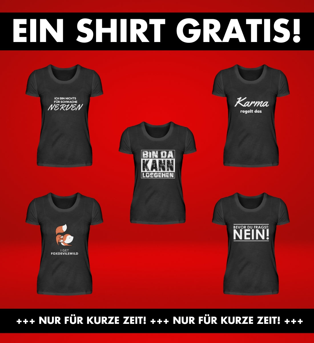 DAMEN T-SHIRT MEGA BUNDLE ERSTELLEN - Dufte Kluft
