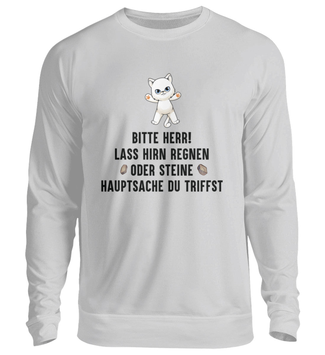 LASS HIRN REGNEN - SWEATSHIRT - Dufte Kluft