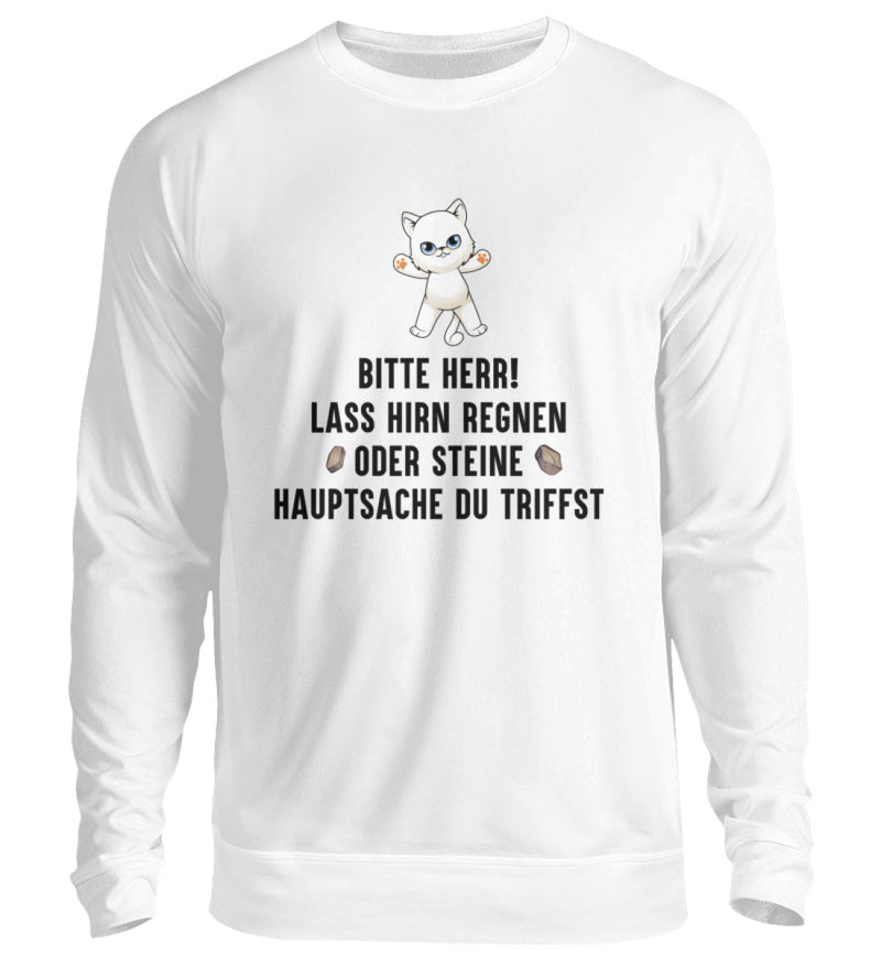 LASS HIRN REGNEN - SWEATSHIRT